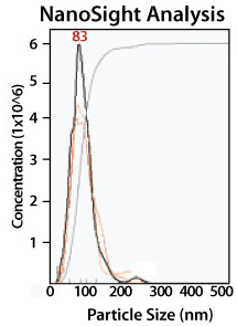 ExoQuick-LP delivers particles of the size expected for exosomes