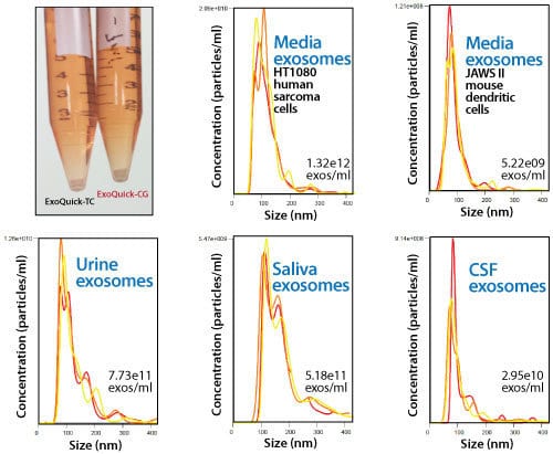 ExoQuick-CG delivers high exosome yields at the expected particle size