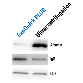 ExoQuick Plus delivers dramatically less contaminating albumin than ultracentrifugation-based isolation methods