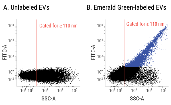 Clearly identify EVs in a flow cytometer using ExoFlow-ONE