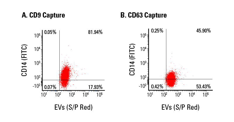 Exo-Flow 2.0 supports flow cytometric analysis of EV subpopulations.