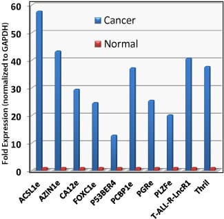 Profile regulatory RNAs in cancer
