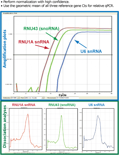 Accurately normalize your microRNA expression profiling data using three reference controls—U6 snRNA, RNU1A, and RNU43